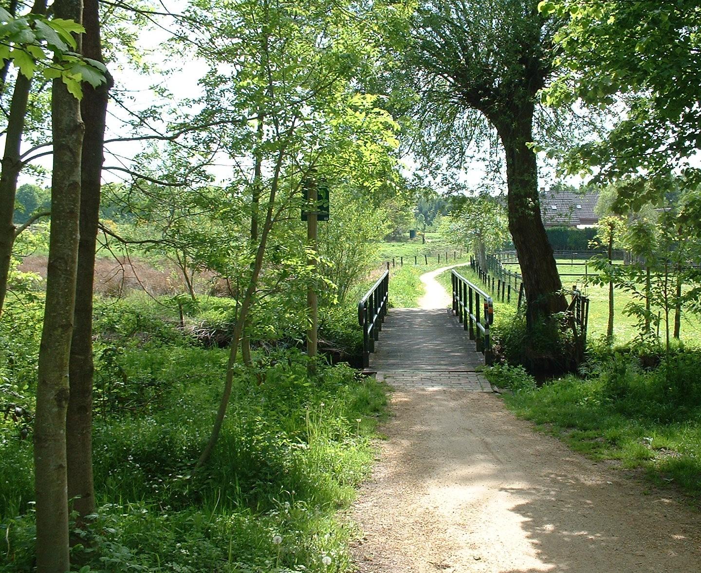 Groenewoud_door_Jan_Luijten.JPG